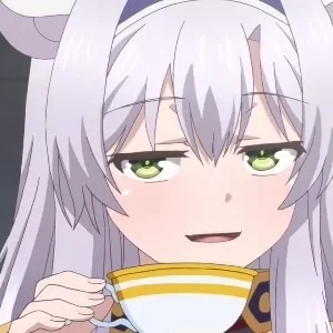 -斯-卡-蕾-特-